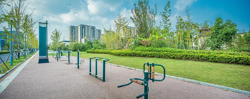 快速减肥针灸 - 10005-1 (102)